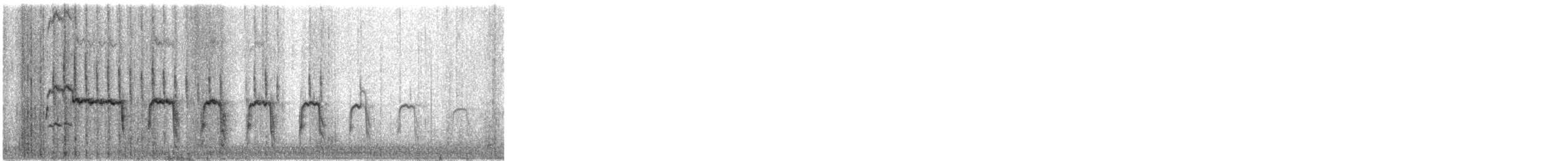 Ornate Tinamou - ML111585621