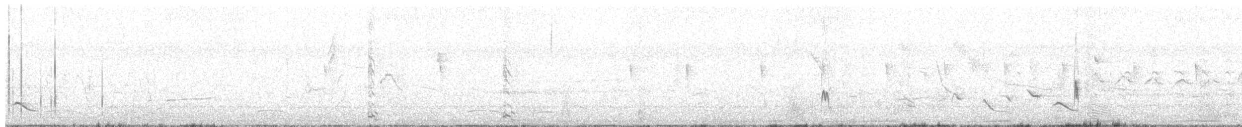 Schlankschnabel-Regenpfeifer - ML111647501