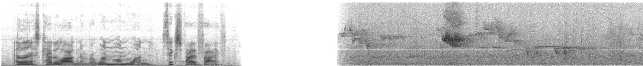 Вилохвістка плямиста - ML111655