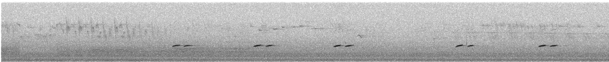 Benekli Panterkuşu (punctatus) - ML111666461