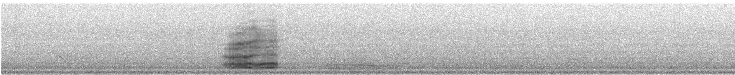 Cuervo de Tasmania - ML111666851