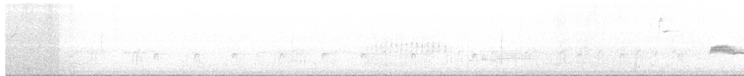 Western Wood-Pewee - ML111687441