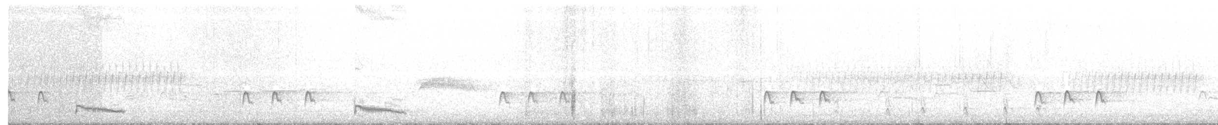 Western Wood-Pewee - ML111687521