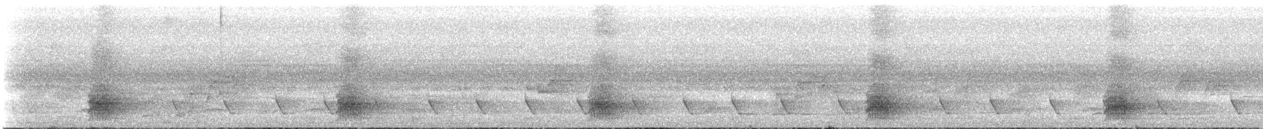Бронзовохвостый павлиний фазан - ML111709111