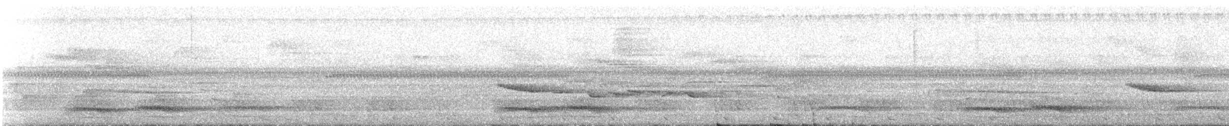 Бронзовохвостый павлиний фазан - ML111709121