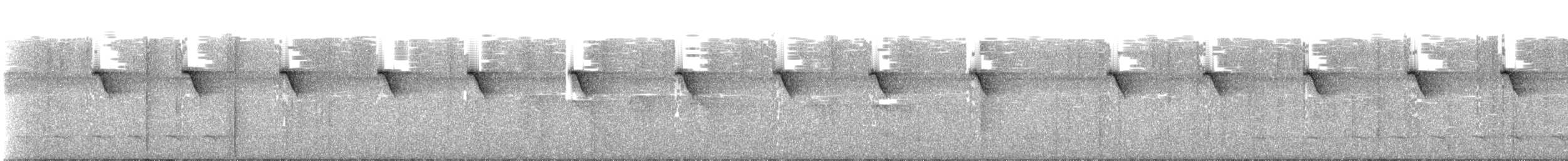 Белобородый колибри-отшельник - ML111722321