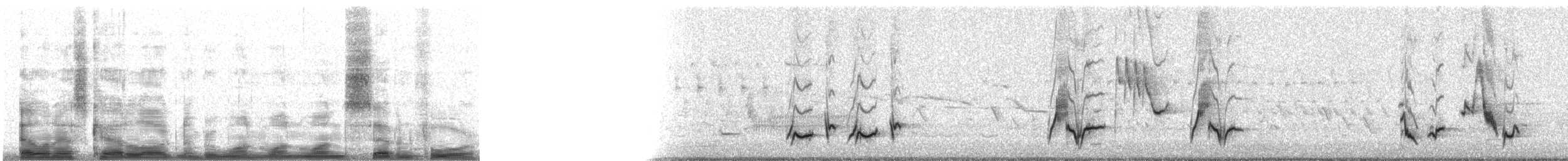 Brown Thrasher - ML11174