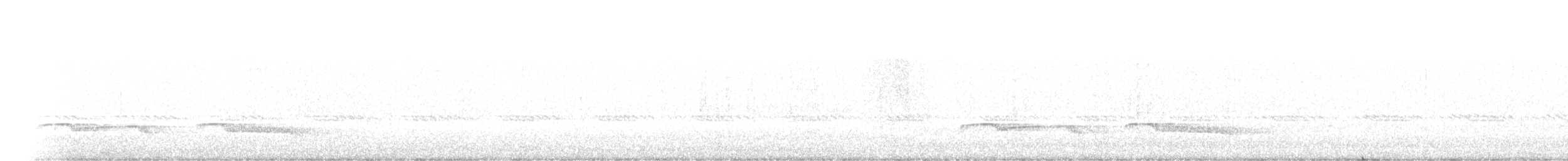 Dağ Çobanaldatanı (poliocephalus) - ML111750551