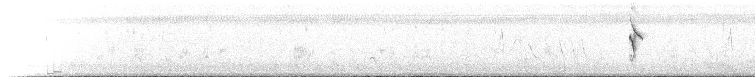 Kara Karınlı Tohumcul - ML111751281