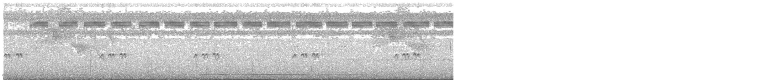 Slaty-breasted Tinamou - ML111759691