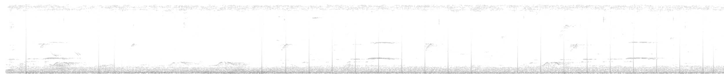 indiaskogørn (limnaeetus gr.) - ML111793871