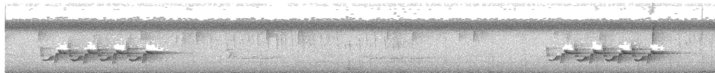 Karolina Çıtkuşu - ML111845141