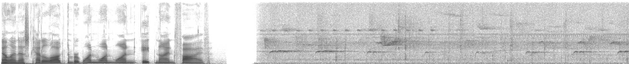 Variegated Tinamou - ML111895