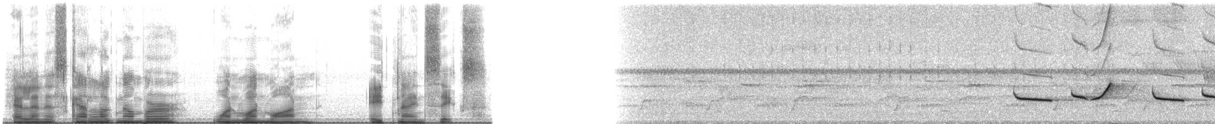 Black-and-white Becard - ML111896