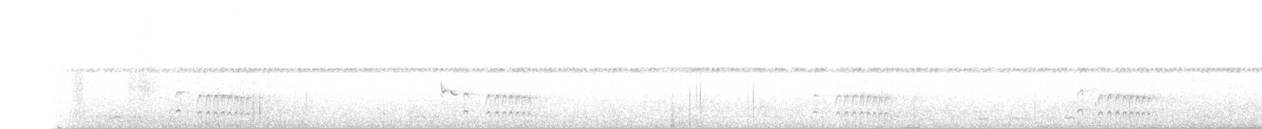 Dunkelbrust-Dickichtschlüpfer - ML111896101