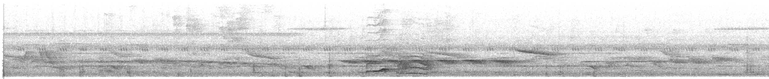 Pic ondé (groupe grammicus) - ML111938611