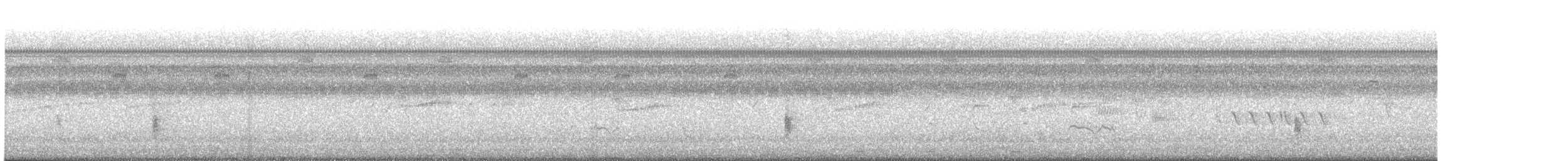 Common Grackle - ML111941031