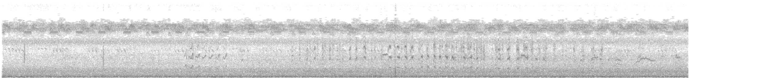 חופית אמריקנית - ML111944001