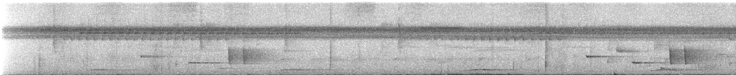 Суматранская кукушковая горлица - ML111963801