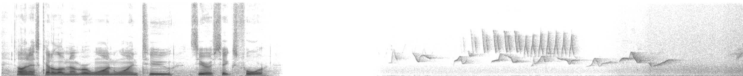 Paruline à calotte noire (pusilla) - ML112064