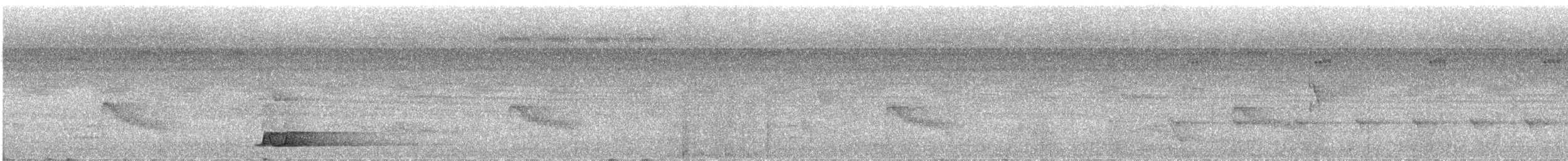 Tinamou à calotte noire - ML112064631