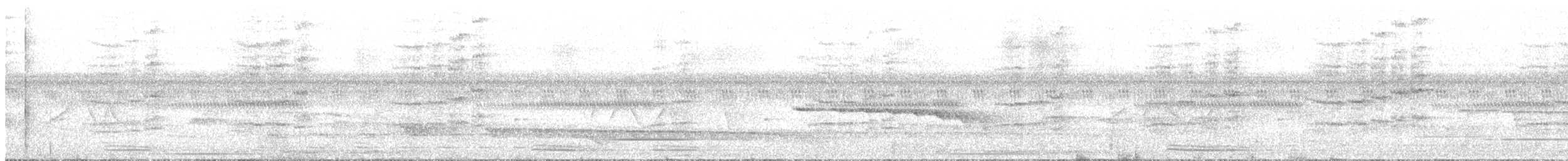 Troglodyte siffleur - ML112065291