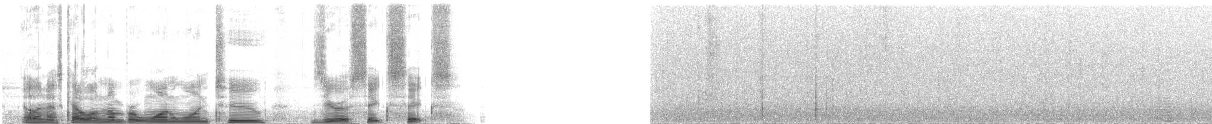 Paruline à calotte noire (pusilla) - ML112066