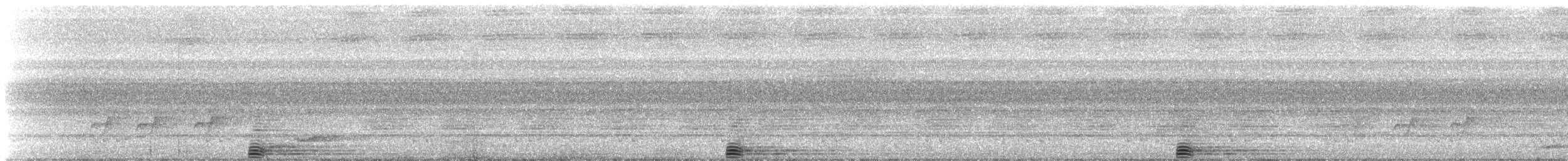 Rhinozeroshornvogel - ML112097061