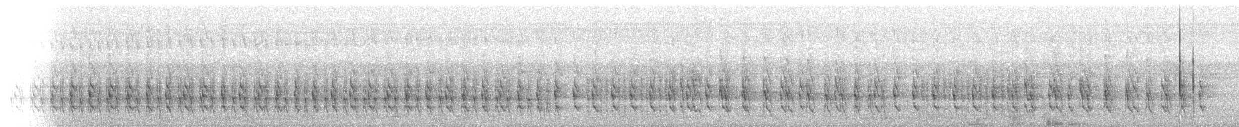 gråtopptornskrike - ML112103901