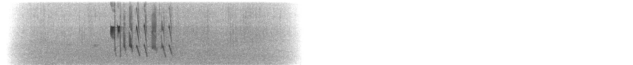 Lucifer Hummingbird - ML112204611