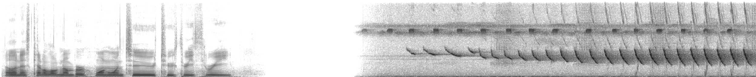 ミズベアメリカムシクイ（mesoleuca） - ML112233