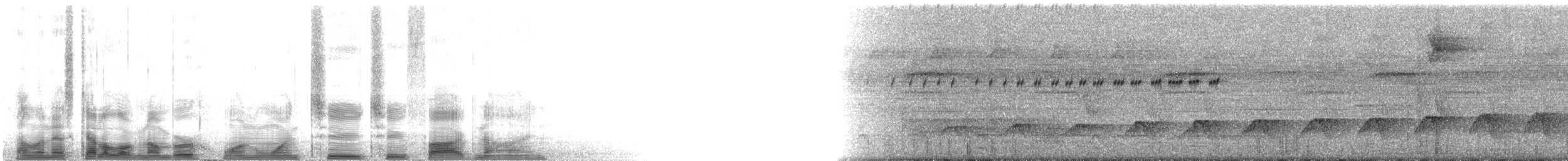 Мурав’янка сірочерева (підвид torquata) - ML112259