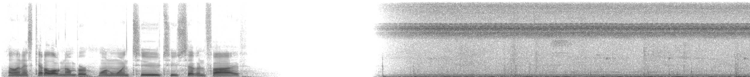 Kara Karınlı Sincap Guguğu - ML112275