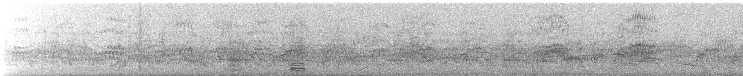 Ібіс молуцький - ML112311511