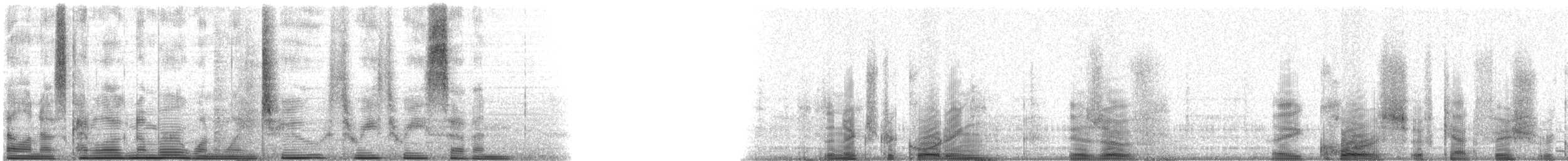 Hardhead Catfish - ML112337