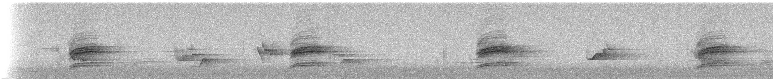 Münzevi Bülbül Ardıcı - ML112338061