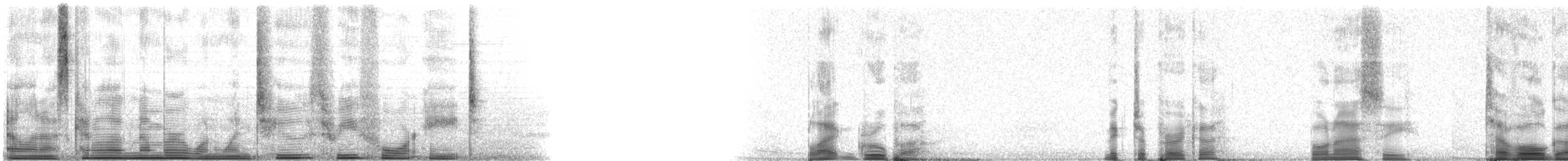 Black Grouper - ML112348