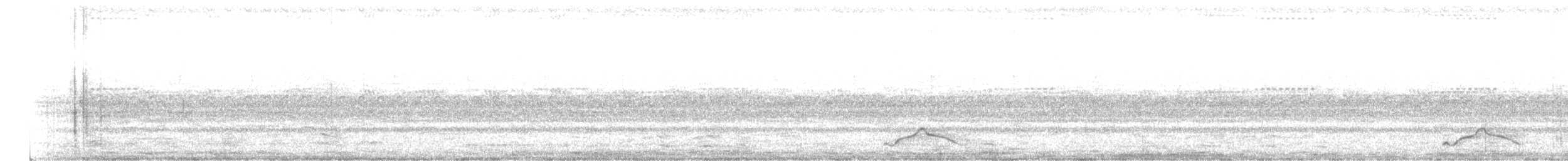 Pauraquenachtschwalbe - ML112354821