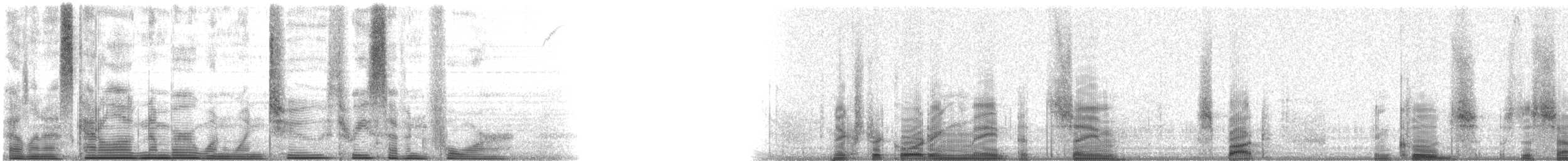 Crevalle Jack - ML112374