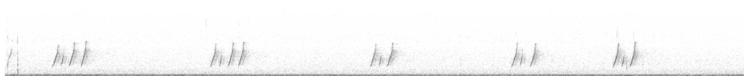 Moqueur à bec courbe (groupe palmeri) - ML112509211