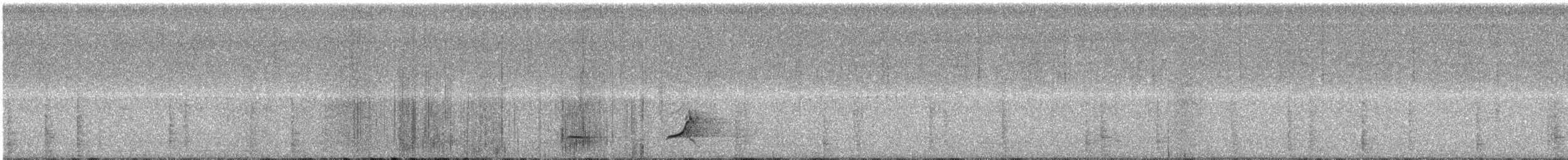 Northern Bobwhite - ML112516741