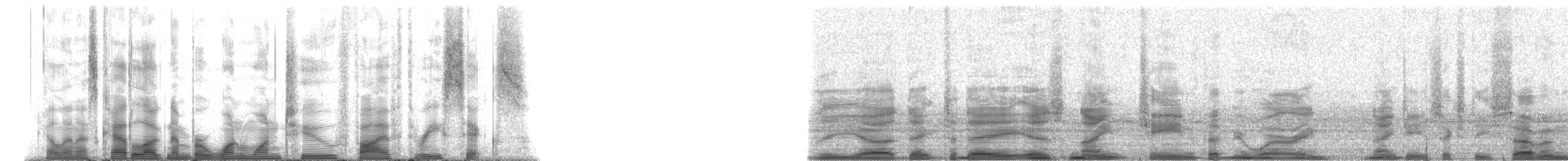 マダライルカ - ML112536