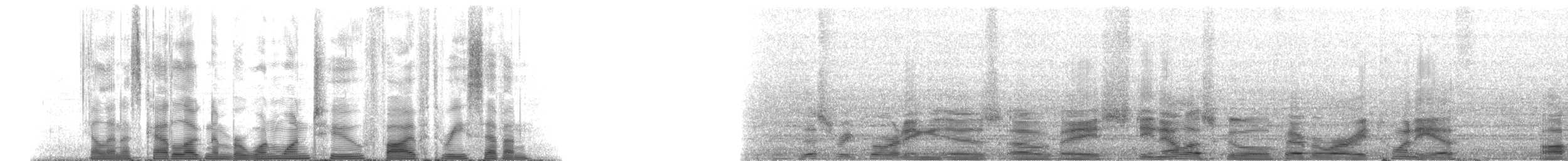 マダライルカ - ML112537