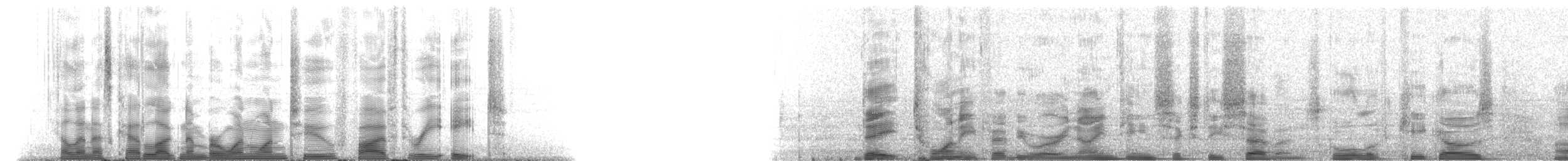 マダライルカ - ML112538