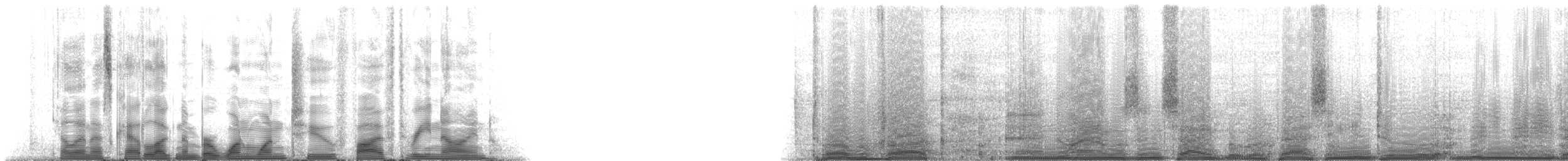 マダライルカ - ML112539