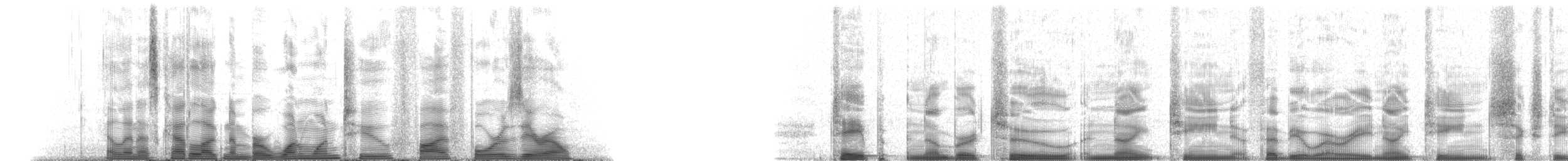 マダライルカ - ML112540