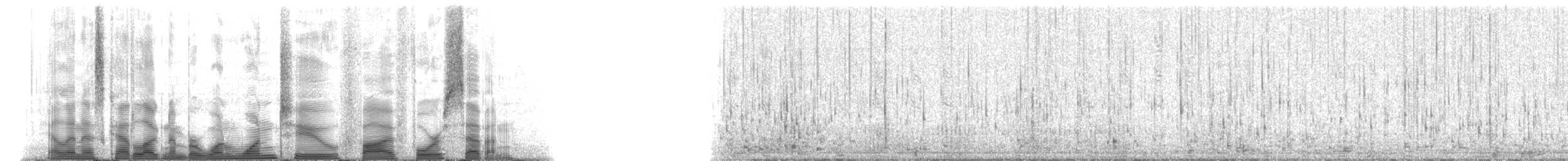 Susa indopacifica - ML112547