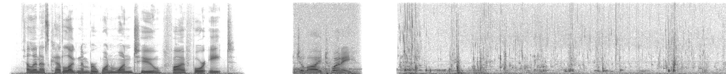 シナウスイロイルカ - ML112548