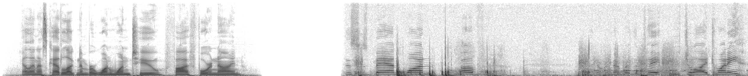 シナウスイロイルカ - ML112549