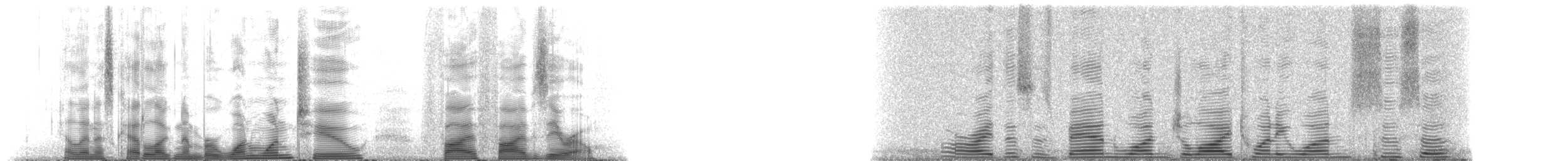 シナウスイロイルカ - ML112550